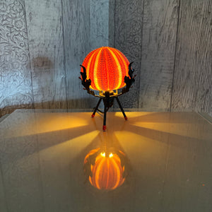 Sea Urchin Shell Lamp.