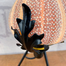 Load image into Gallery viewer, Sea Urchin Shell Lamp.
